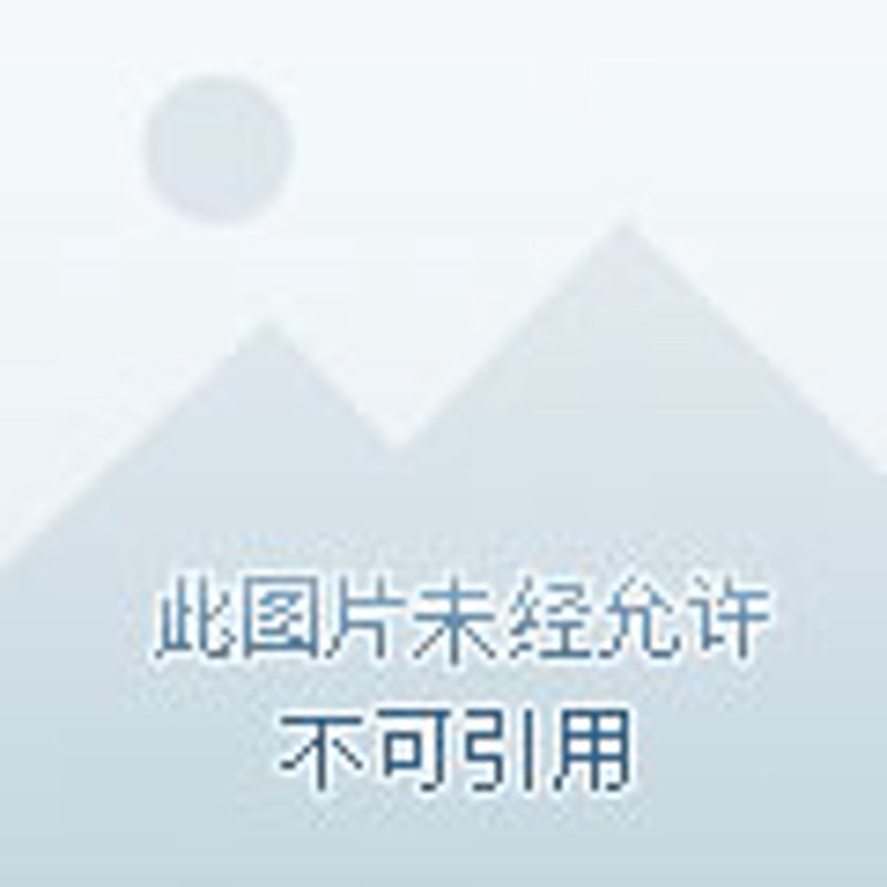 深圳供应链行业动态：应对复杂多变的市场环境